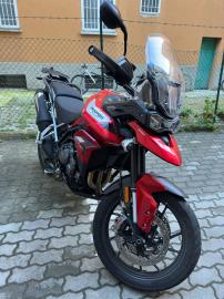 Triumph - TIGER 900 (3 di 6)