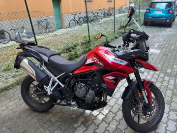 Triumph - TIGER 900 (5 di 6)