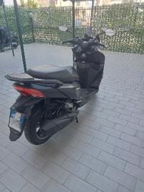 Sym - JOYRIDE 250 (6 di 6)