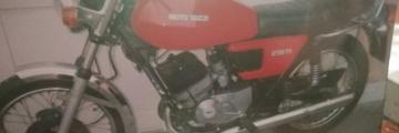 Moto Guzzi - TS 250 (2 di 4)
