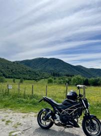 Suzuki - address 110 (7 di 9)
