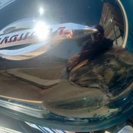 Suzuki - MARAUDER VZ 800 (4 di 10)