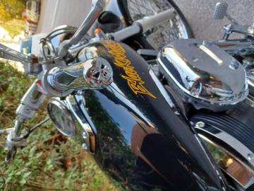 Honda - BLACK WIDOW 750 (9 di 9)