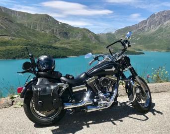 Harley Davidson - DYNA