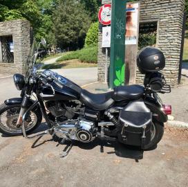 Harley Davidson - DYNA (5 di 5)