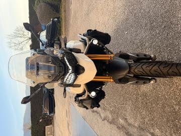 Triumph - TIGER 900 (3 di 10)