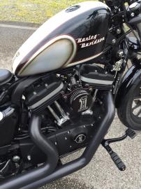 Harley Davidson - 883 IRON