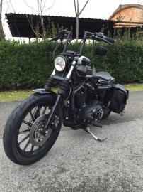 Harley Davidson - 883 IRON (4 di 10)