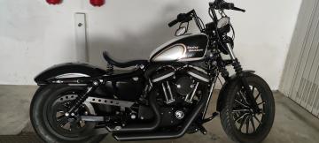 Harley Davidson - 883 IRON (10 di 10)