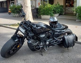 Harley Davidson - 1200 SPORTSTER SPORT (4 di 5)