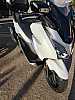 Honda - FORZA - X (1 di 8)